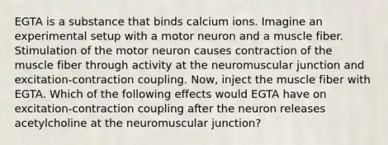 EGTA is a substance that binds calcium ions. Imagine an experimental setup with a motor neuron and a muscle fiber. Stimulation of the motor neuron causes contraction of the muscle fiber through activity at the neuromuscular junction and excitation-contraction coupling. Now, inject the muscle fiber with EGTA. Which of the following effects would EGTA have on excitation-contraction coupling after the neuron releases acetylcholine at the neuromuscular junction?