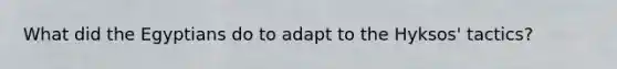 What did the Egyptians do to adapt to the Hyksos' tactics?