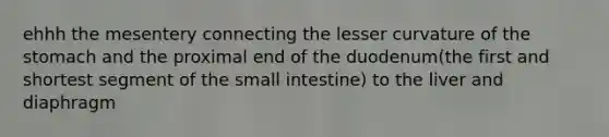 ehhh the mesentery connecting the lesser curvature of the stomach and the proximal end of the duodenum(the first and shortest segment of the small intestine) to the liver and diaphragm