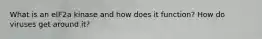 What is an eIF2a kinase and how does it function? How do viruses get around it?
