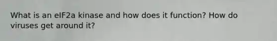What is an eIF2a kinase and how does it function? How do viruses get around it?