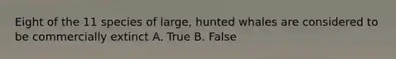 Eight of the 11 species of large, hunted whales are considered to be commercially extinct A. True B. False