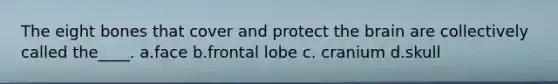 The eight bones that cover and protect the brain are collectively called the____. a.face b.frontal lobe c. cranium d.skull