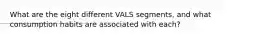 What are the eight different VALS segments, and what consumption habits are associated with each?