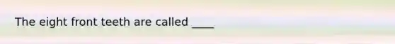 The eight front teeth are called ____