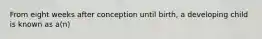 From eight weeks after conception until birth, a developing child is known as a(n)