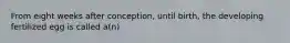 From eight weeks after conception, until birth, the developing fertilized egg is called a(n)
