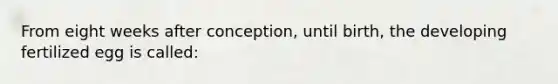From eight weeks after conception, until birth, the developing fertilized egg is called: