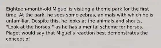 Eighteen-month-old Miguel is visiting a theme park for the first time. At the park, he sees some zebras, animals with which he is unfamiliar. Despite this, he looks at the animals and shouts, "Look at the horses!" as he has a mental scheme for horses. Piaget would say that Miguel's reaction best demonstrates the concept of