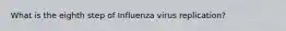 What is the eighth step of Influenza virus replication?