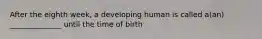 After the eighth week, a developing human is called a(an) ______________ until the time of birth