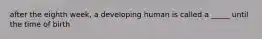 after the eighth week, a developing human is called a _____ until the time of birth