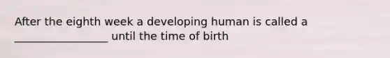 After the eighth week a developing human is called a _________________ until the time of birth