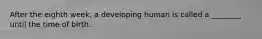 After the eighth week, a developing human is called a ________ until the time of birth.