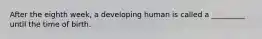 After the eighth week, a developing human is called a _________ until the time of birth.