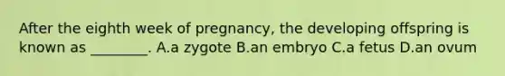 After the eighth week of pregnancy, the developing offspring is known as ________. A.a zygote B.an embryo C.a fetus D.an ovum