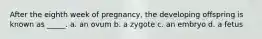 After the eighth week of pregnancy, the developing offspring is known as _____. a. an ovum b. a zygote c. an embryo d. a fetus