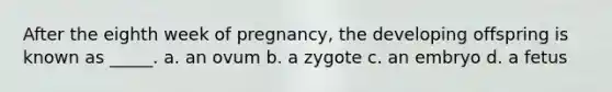 After the eighth week of pregnancy, the developing offspring is known as _____. a. an ovum b. a zygote c. an embryo d. a fetus