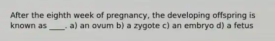 After the eighth week of pregnancy, the developing offspring is known as ____. a) an ovum b) a zygote c) an embryo d) a fetus