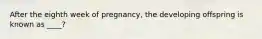 After the eighth week of pregnancy, the developing offspring is known as ____?