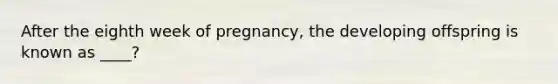 After the eighth week of pregnancy, the developing offspring is known as ____?