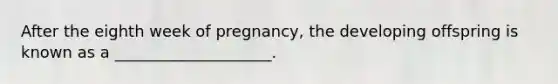 After the eighth week of pregnancy, the developing offspring is known as a ____________________.