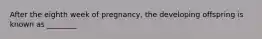 After the eighth week of pregnancy, the developing offspring is known as ________