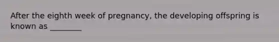 After the eighth week of pregnancy, the developing offspring is known as ________