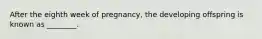 After the eighth week of pregnancy, the developing offspring is known as ________.