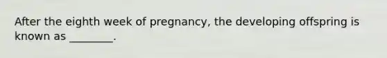 After the eighth week of pregnancy, the developing offspring is known as ________.