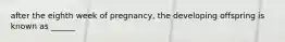 after the eighth week of pregnancy, the developing offspring is known as ______