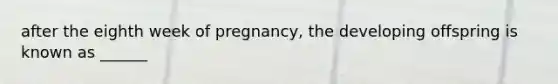 after the eighth week of pregnancy, the developing offspring is known as ______