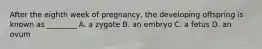 After the eighth week of pregnancy, the developing offspring is known as ________ A. a zygote B. an embryo C. a fetus D. an ovum