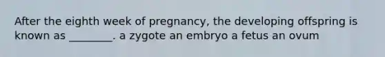 After the eighth week of pregnancy, the developing offspring is known as ________. a zygote an embryo a fetus an ovum