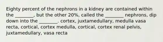 Eighty percent of the nephrons in a kidney are contained within the ________, but the other 20%, called the ________ nephrons, dip down into the ________. cortex, juxtamedullary, medulla vasa recta, cortical, cortex medulla, cortical, cortex renal pelvis, juxtamedullary, vasa recta