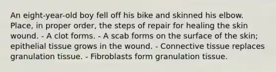 An eight-year-old boy fell off his bike and skinned his elbow. Place, in proper order, the steps of repair for healing the skin wound. - A clot forms. - A scab forms on the surface of the skin; epithelial tissue grows in the wound. - Connective tissue replaces granulation tissue. - Fibroblasts form granulation tissue.