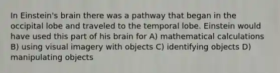 In Einstein's brain there was a pathway that began in the occipital lobe and traveled to the temporal lobe. Einstein would have used this part of his brain for A) mathematical calculations B) using visual imagery with objects C) identifying objects D) manipulating objects