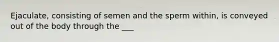 Ejaculate, consisting of semen and the sperm within, is conveyed out of the body through the ___