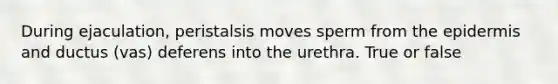 During ejaculation, peristalsis moves sperm from the epidermis and ductus (vas) deferens into the urethra. True or false