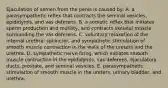 Ejaculation of semen from the penis is caused by: A. a parasympathetic reflex that contracts the seminal vesicles, epididymis, and vas deferens. B. a somatic reflex that initiates sperm production and motility, and contracts skeletal muscle surrounding the vas deferens. C. voluntary relaxation of the internal urethral sphincter, and sympathetic stimulation of smooth muscle contraction in the walls of the ureters and the urethra. D. sympathetic nerve firing, which initiates smooth muscle contraction in the epididymis, vas deferens, ejaculatory ducts, prostate, and seminal vesicles. E. parasympathetic stimulation of smooth muscle in the ureters, urinary bladder, and urethra.