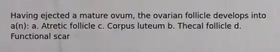 Having ejected a mature ovum, the ovarian follicle develops into a(n): a. Atretic follicle c. Corpus luteum b. Thecal follicle d. Functional scar