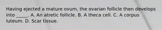 Having ejected a mature ovum, the ovarian follicle then develops into _____. A. An atretic follicle. B. A theca cell. C. A corpus luteum. D. Scar tissue.