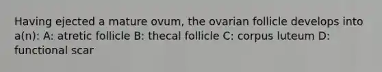 Having ejected a mature ovum, the ovarian follicle develops into a(n): A: atretic follicle B: thecal follicle C: corpus luteum D: functional scar