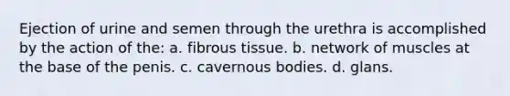 Ejection of urine and semen through the urethra is accomplished by the action of the: a. fibrous tissue. b. network of muscles at the base of the penis. c. cavernous bodies. d. glans.