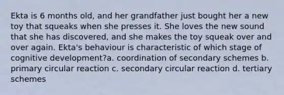 Ekta is 6 months old, and her grandfather just bought her a new toy that squeaks when she presses it. She loves the new sound that she has discovered, and she makes the toy squeak over and over again. Ekta's behaviour is characteristic of which stage of cognitive development?a. coordination of secondary schemes b. primary circular reaction c. secondary circular reaction d. tertiary schemes