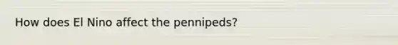 How does El Nino affect the pennipeds?