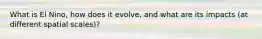 What is El Nino, how does it evolve, and what are its impacts (at different spatial scales)?