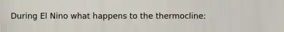 During El Nino what happens to the thermocline: