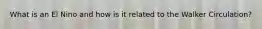 What is an El Nino and how is it related to the Walker Circulation?