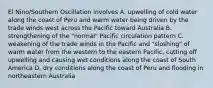 El Nino/Southern Oscillation involves A. upwelling of cold water along the coast of Peru and warm water being driven by the trade winds west across the Pacific toward Australia B. strengthening of the "normal" Pacific circulation pattern C. weakening of the trade winds in the Pacific and "sloshing" of warm water from the western to the eastern Pacific, cutting off upwelling and causing wet conditions along the coast of South America D. dry conditions along the coast of Peru and flooding in northeastern Australia